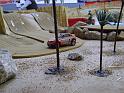 resized_DSC01441