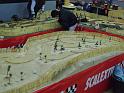 resized_DSC01448