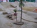 resized_DSC01626