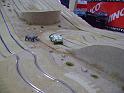 resized_DSC01541
