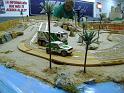 resized_DSC01855