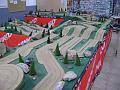 resized_resized_DSC02167